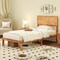 Rustic Golden Brown Acacia Wood MDF Platform Bed Frame with Headboard and Under-Bed Storage